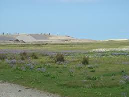 De Verdronken Zwarte Polder